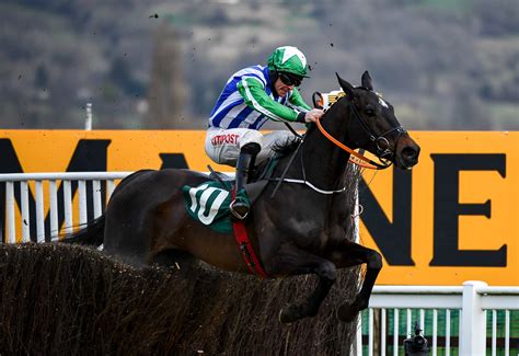 cheltenham 4.50 results|Iba pa.